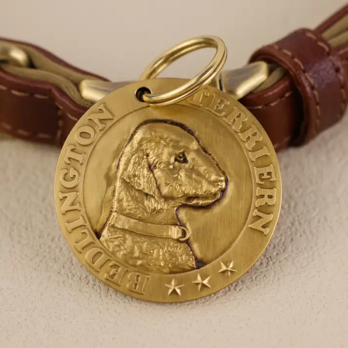 Bedlington Terrier 1