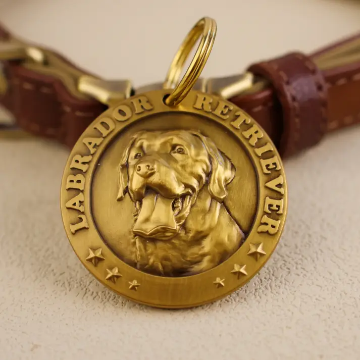 Labrador Retriever 1