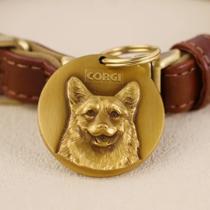 Pembroke Welsh Corgi 2