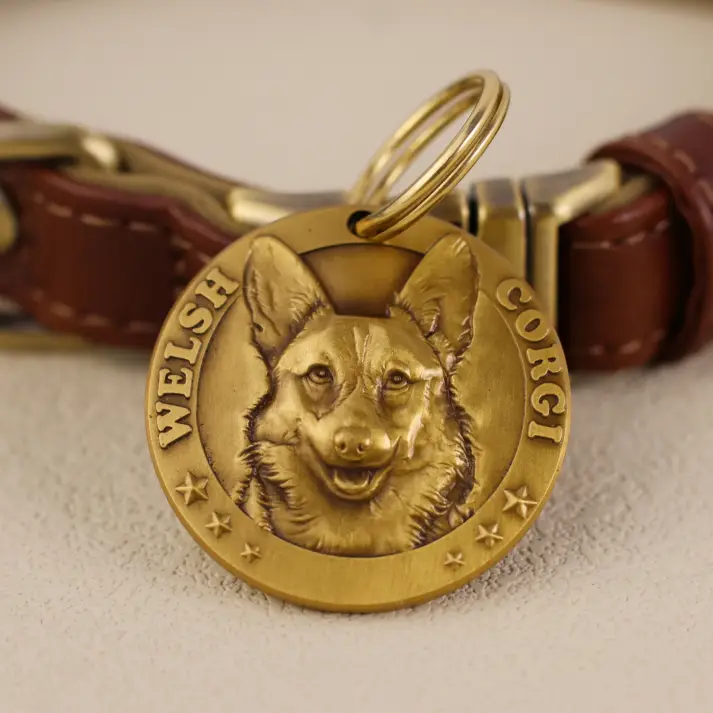 Pembroke Welsh Corgi 1